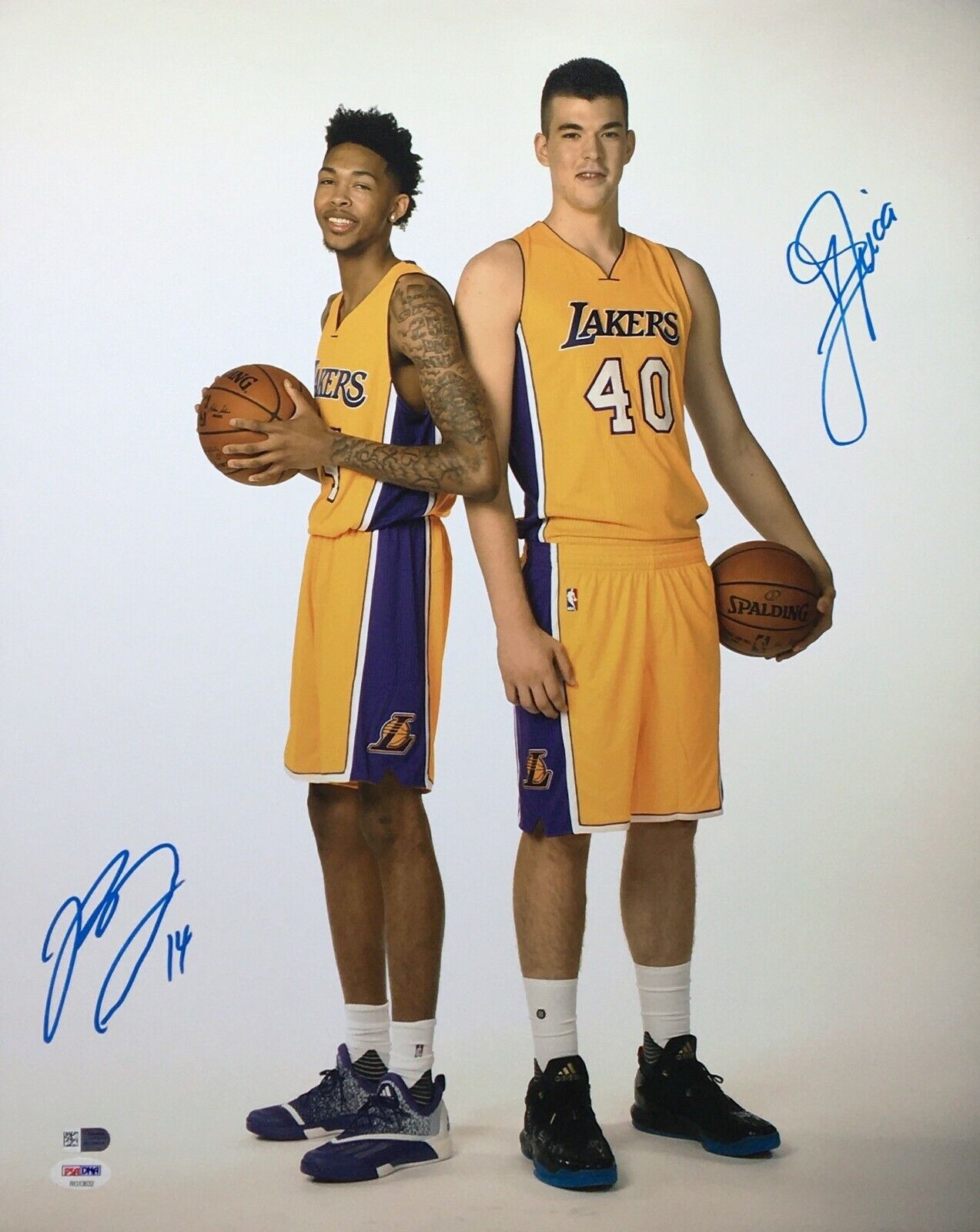 Brandon Ingram & Ivica Zubac Signed 16x20 Photo Poster painting PSA/Fanatics