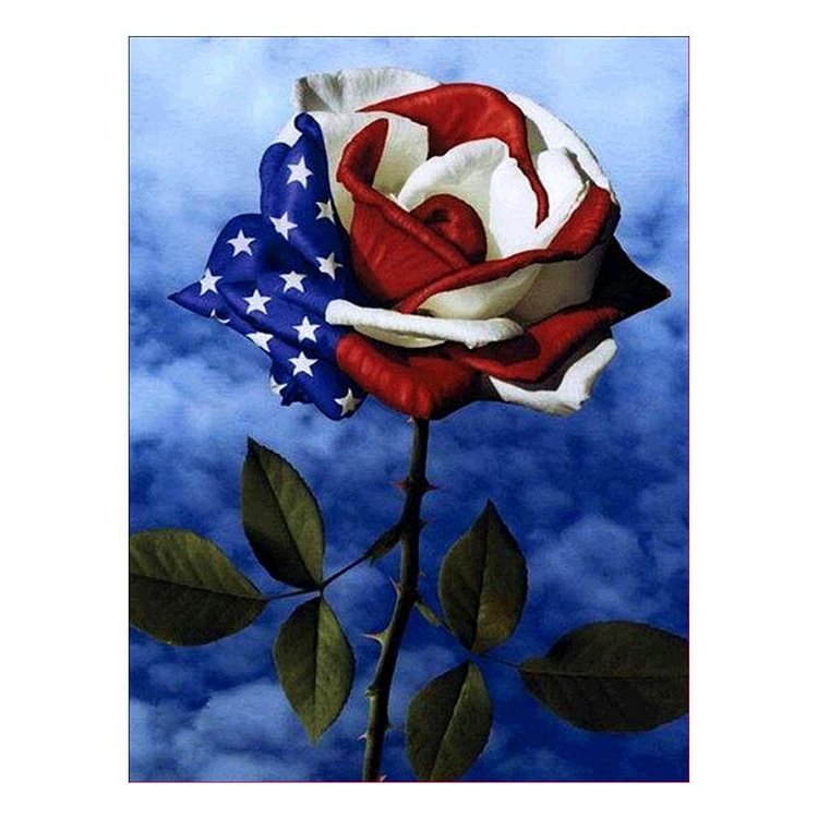 Peinture de diamant - Ronde partielle - Rose de drapeau