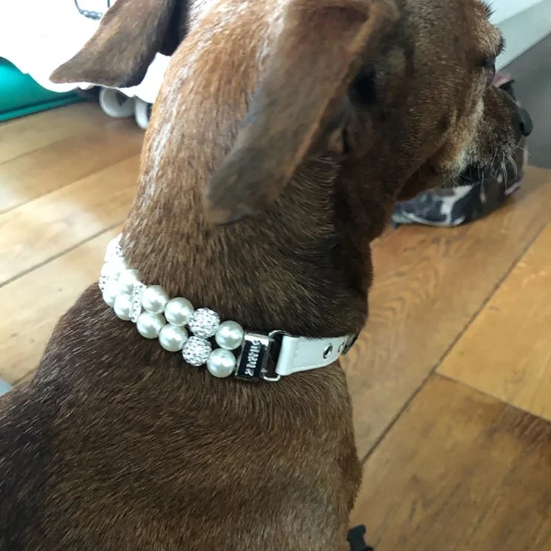 Pearls&Rhinestones Dog Cat Pet Adjustable Leather Collars Necklace Dog Accessories-VESSFUL