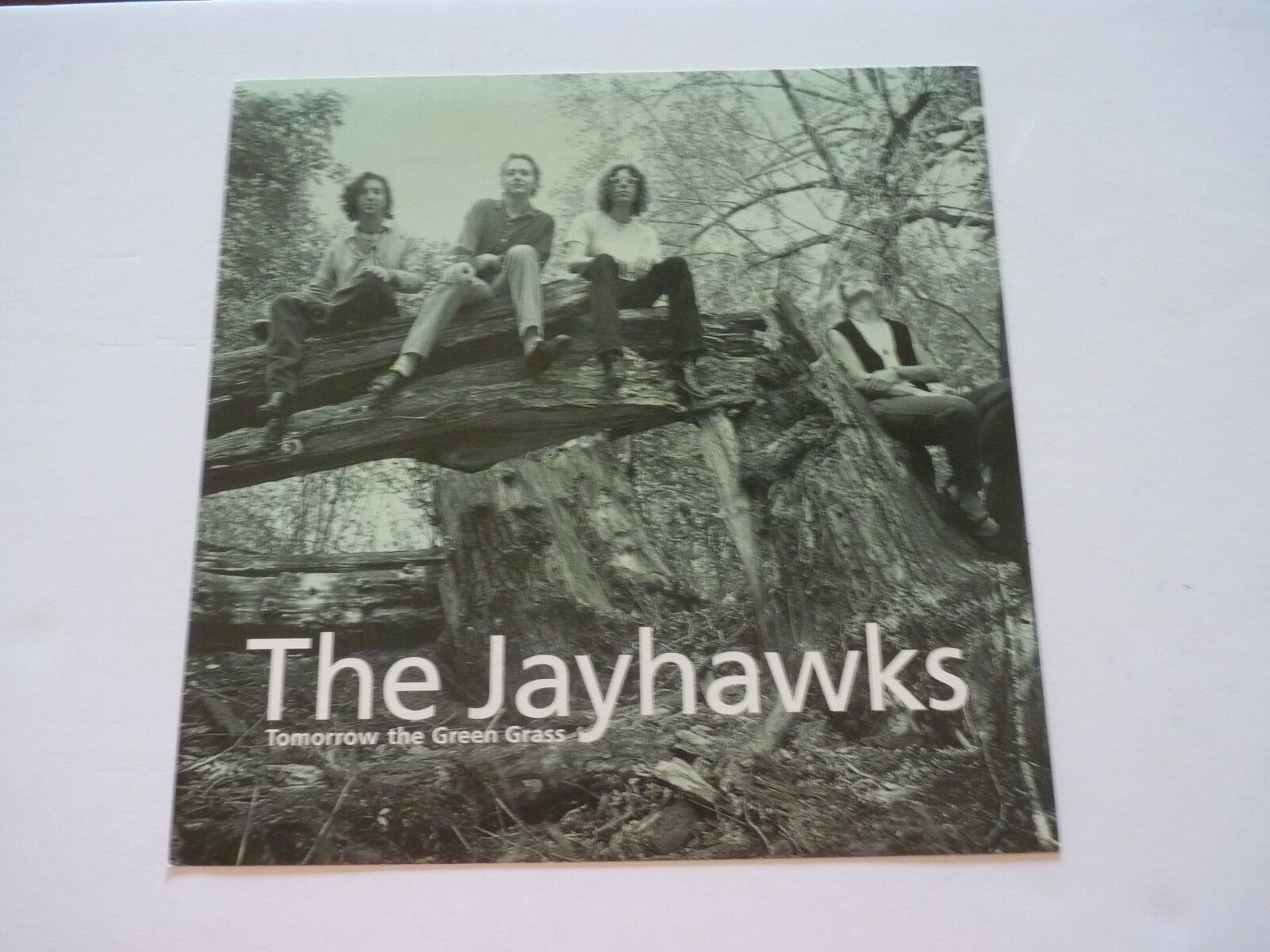 The Jayhawks Tomorrow Green Grass LP Record Photo Poster painting Flat 12x12 Poster