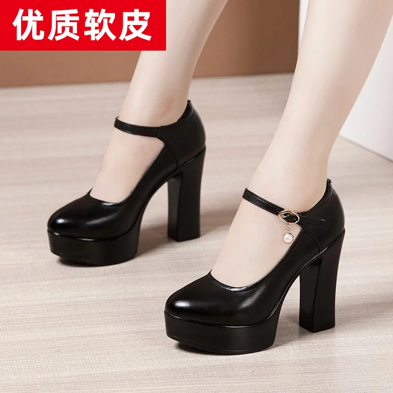 Yyvonne Ultra-High Heels Catwalk High Heels Women's Thick Heels Thick-Soled Waterproof Platform Round Head Large Size Cheongsam Show Shoes
