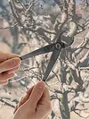 210mm Gardening Plants Styling Maintenance Tools Round Nose Pruning Pliers