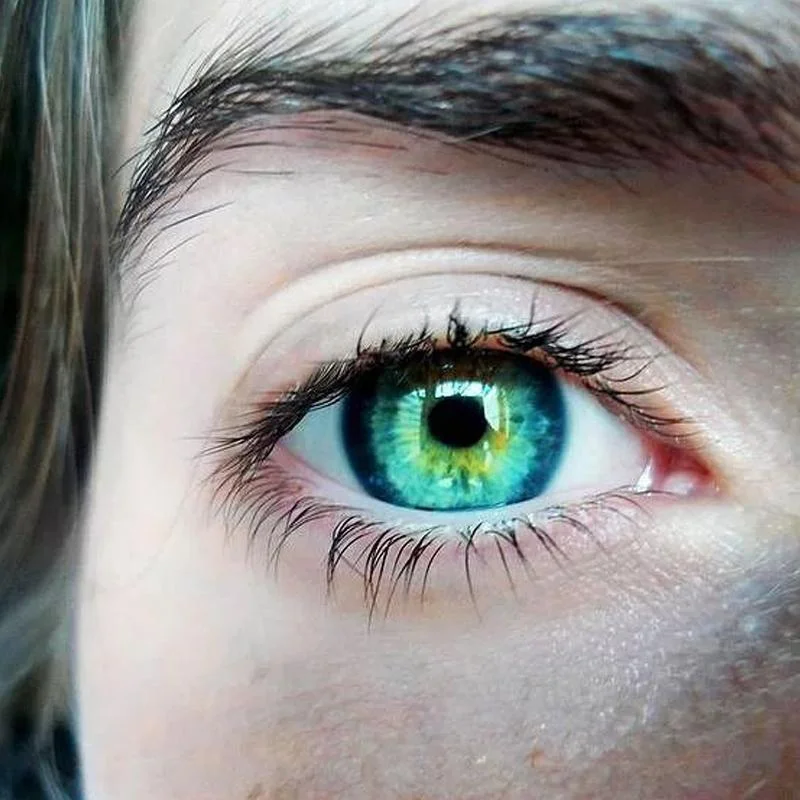 Natural color three-mix green (12 months) contact lenses