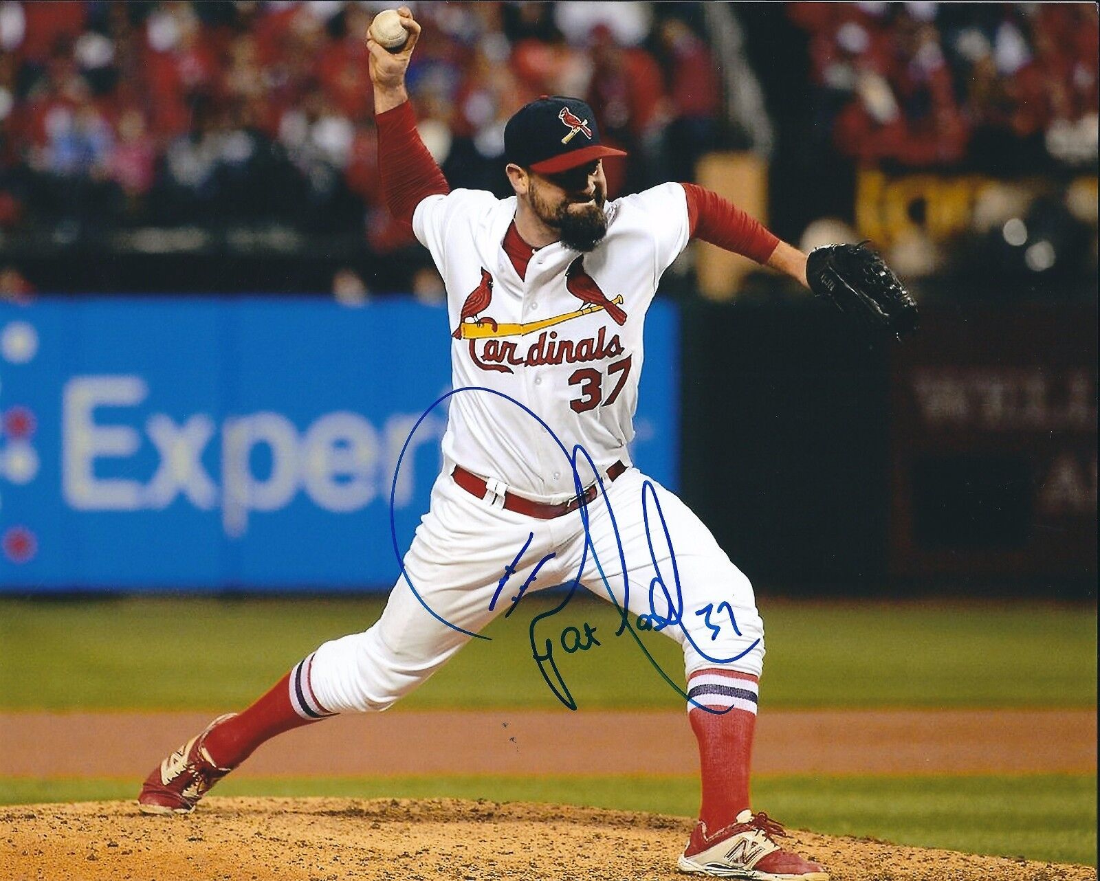 Signed 8x10 PAT NESHEK Autographed St Louis Cardinals Photo Poster painting- COA