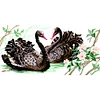 Bead Embroidery - Partial Printed 9CT Black Swan(66x36 CM)