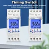 2 Channels Programmable 24Hours Time Clock Big LCD Display Digital Timer Switch