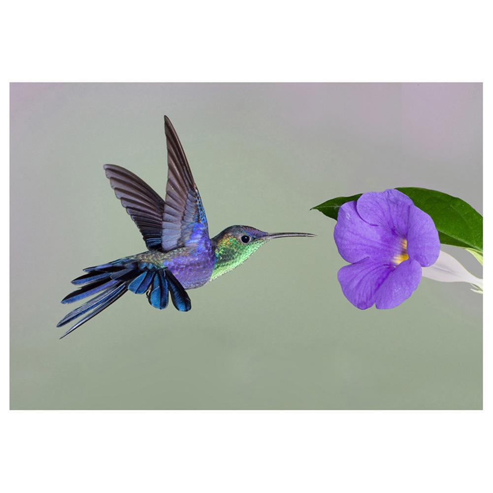 

40*30CM - Bird Flower - Round Drill Diamond Painting, 501 Original
