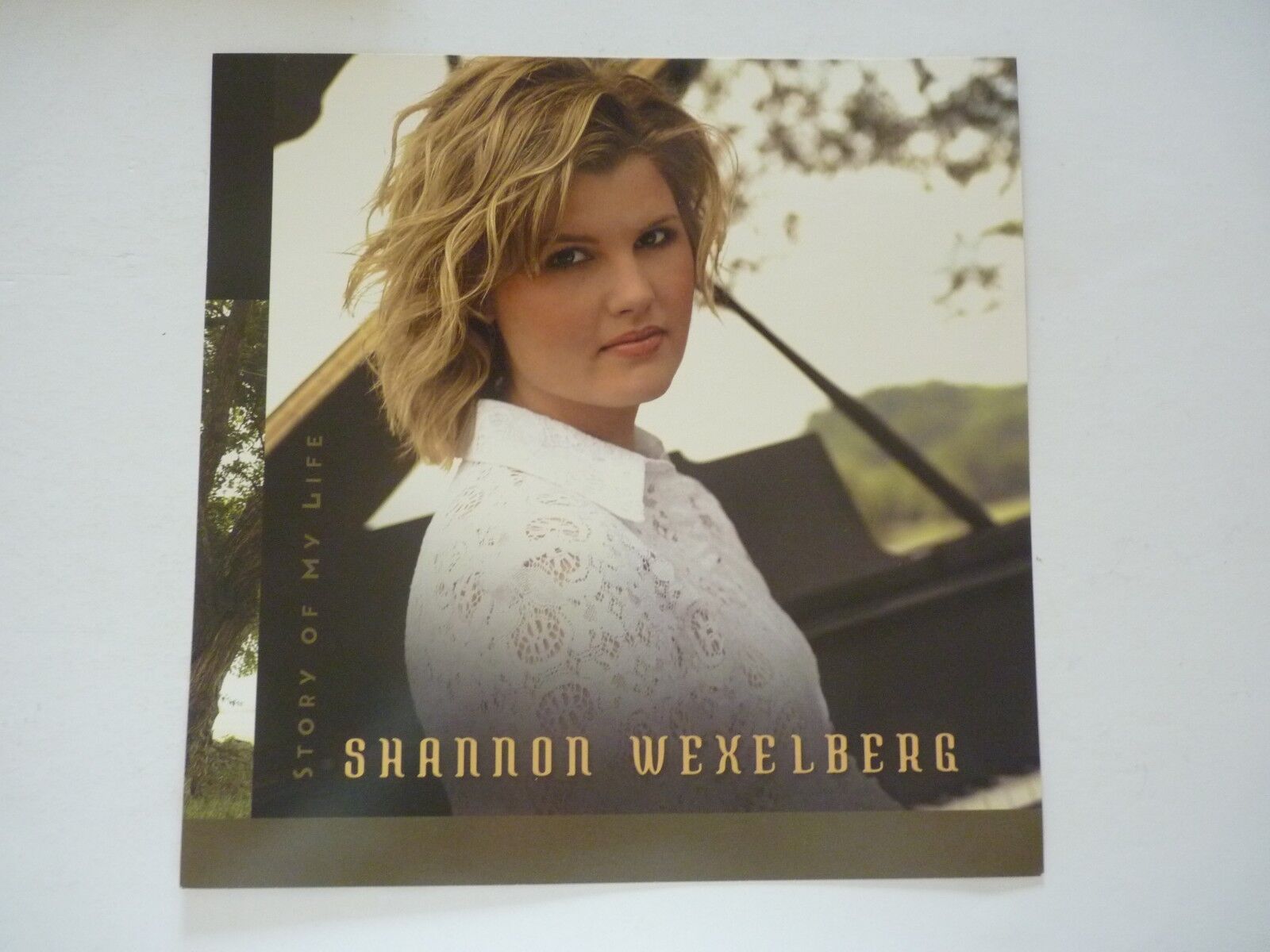 Shannon Wexeleberg Story of My Life LP Record Photo Poster painting Flat 12X12 Poster