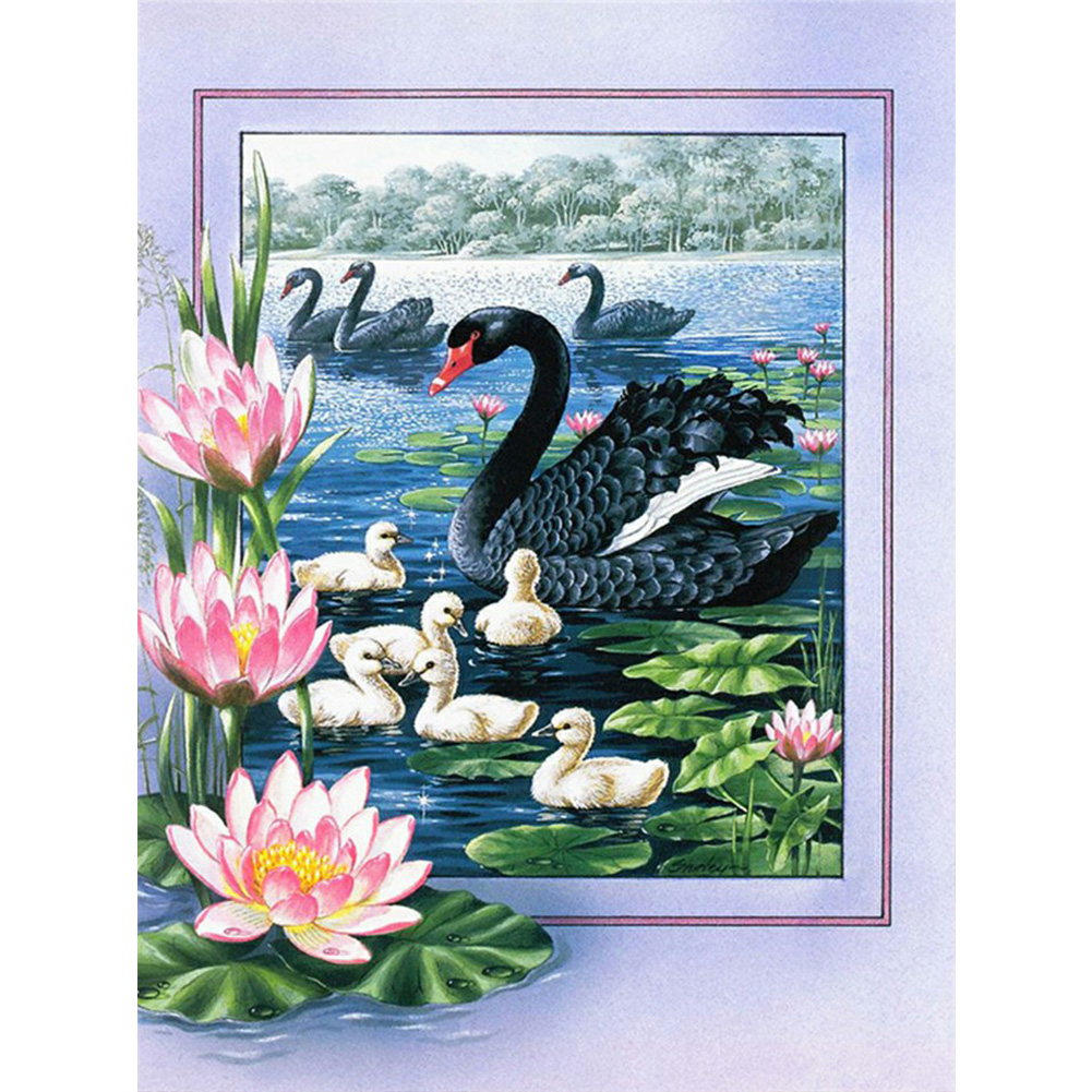 

Black Swan - Square Drill Diamond Painting - 30*40CM, 501 Original