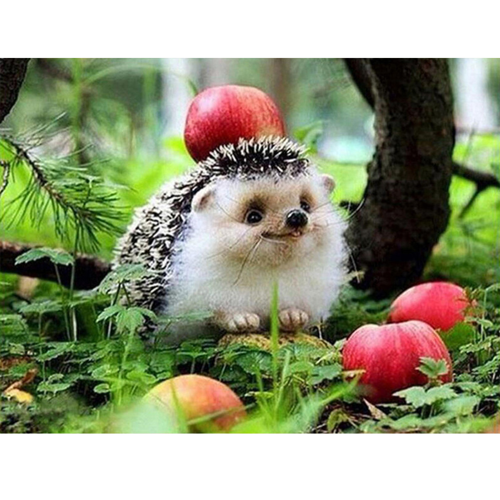 

Hedgehog - Square Drill Diamond Painting - 40*30CM, 02, 501 Original