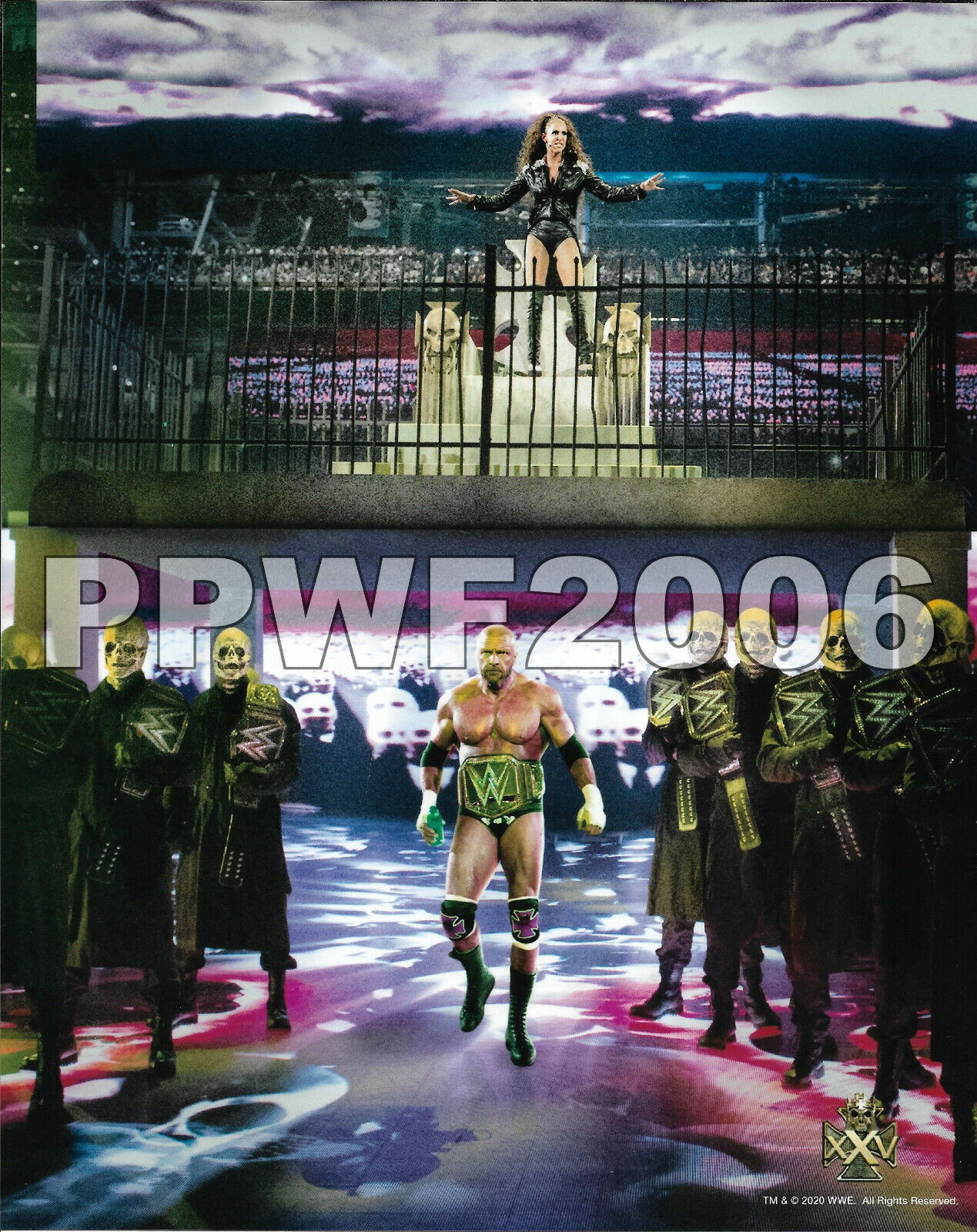 WWE TRIPLE H 25TH ANNIVERSARY LIMITED EDITION OFFICIAL LICENSED 8X10 Photo Poster painting 22