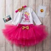 Baby Girl Birthday Valentine Outfit Lovely Embroidered Letters 2 Pcs Sets