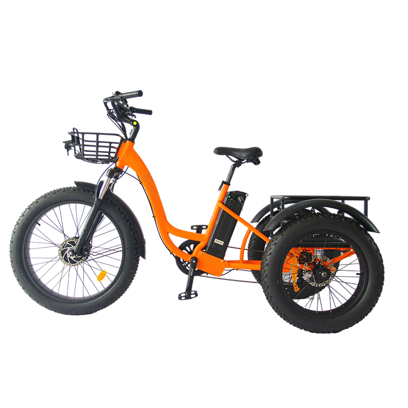 el cargo bike