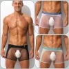 Men's Sexy Ultra-Thin Ice Silk Mesh-Panelled Transparent Boxer Briefs