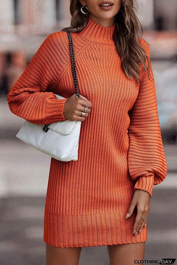 Rieuh Turtleneck Long Sleeve Knitted Mini Dress