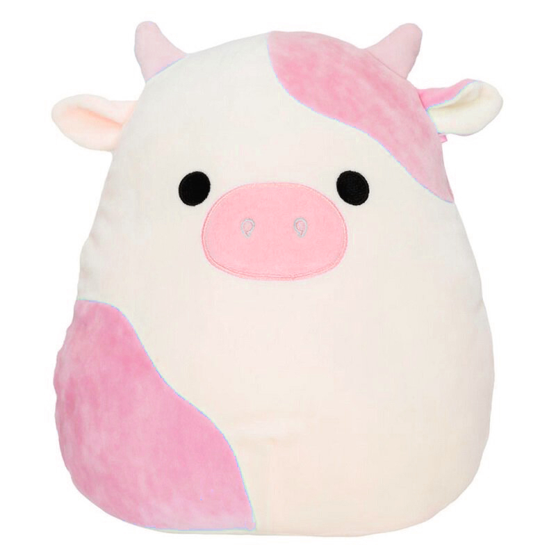 squishmallow bubba