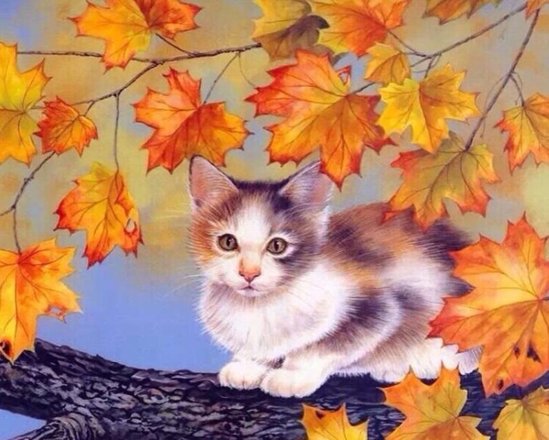 

Cat Covered In Maple Leaves – Paint By Numbers - 40*50CM, 501 Original