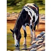 Horse - Full Round Drill Diamond Painting
