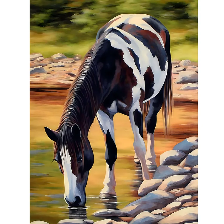 Black And White Horse 30*40CM (Canvas) Full Round Drill Diamond Painting gbfke