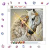 Pearl White Horse 5D DIY Diamond Art Painting Kit Partial Drill 30x30cm