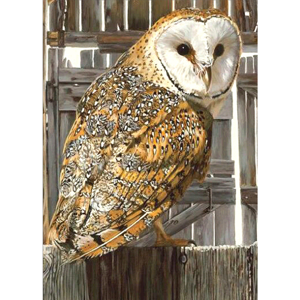 

30*40CM - Round Drill Diamond Painting - Cute Owl, 501 Original