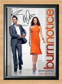 Burn Notice Jeffrey Donovan Gabrielle Anwar Signed Autographed Photo Poster painting Poster Print Memorabilia A2 Size 16.5x23.4