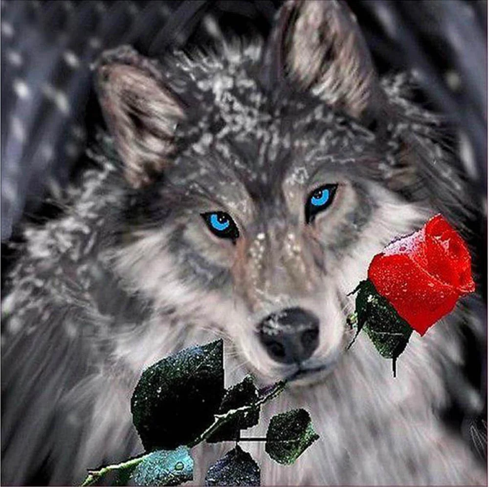Full Round/Square Diamond Painting -  Rose Wolf