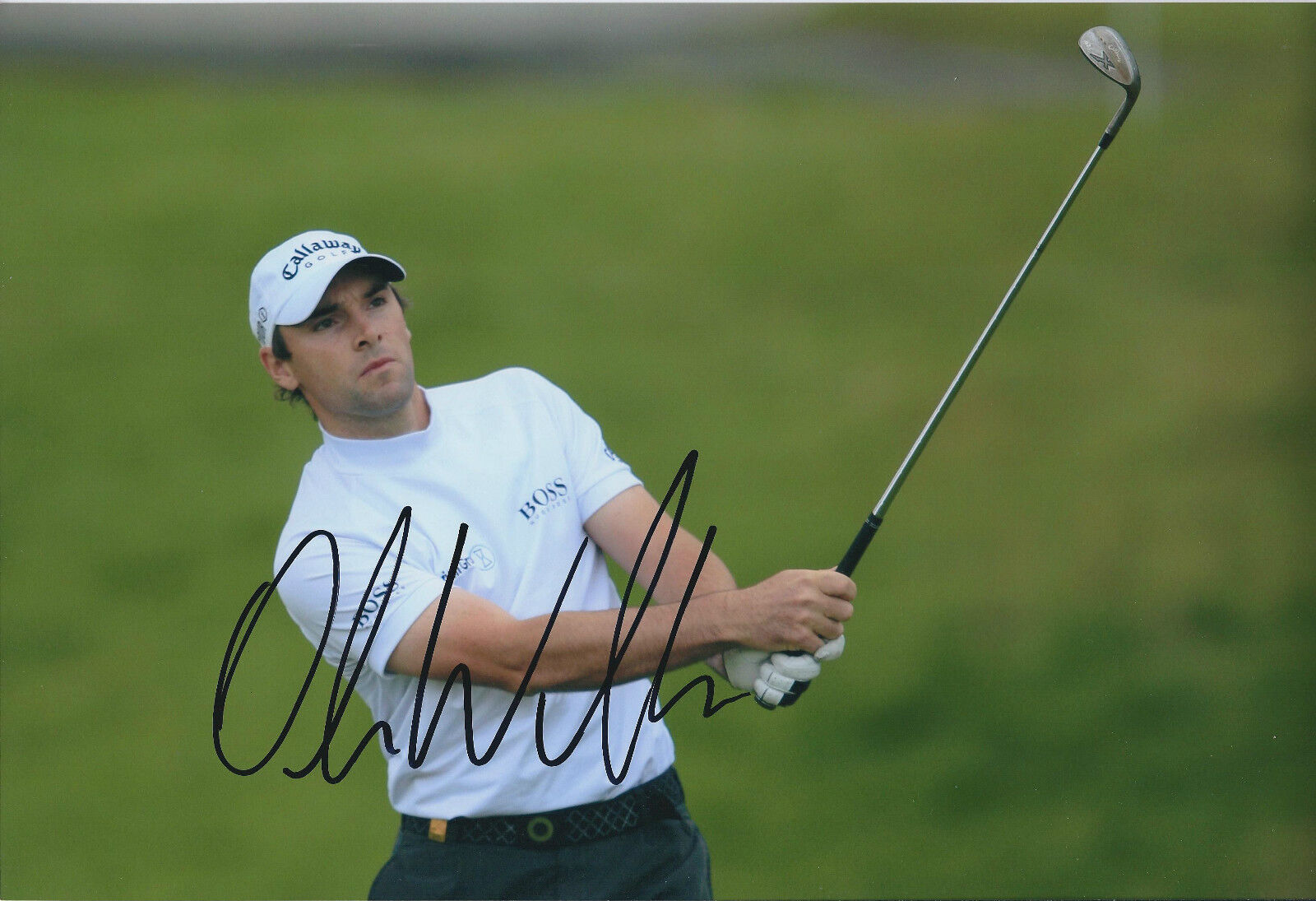 Oliver WILSON SIGNED AUTOGRAPH Golf 12x8 Photo Poster painting AFTAL COA European Tour