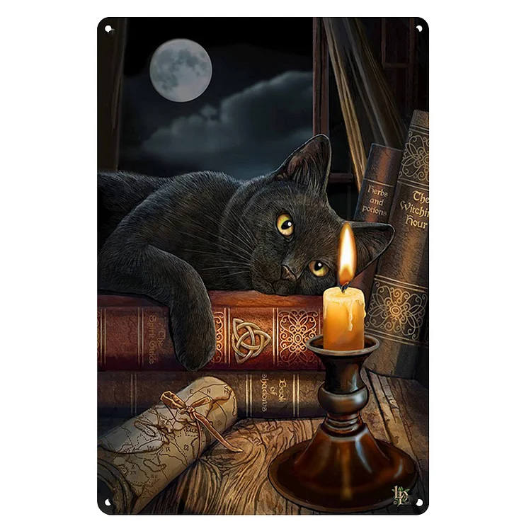 Cat Laying On Books At Night - Vintage Tin Signs/Wooden Signs - 20x30cm & 30x40cm