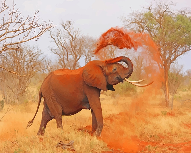 

African elephant – Paint By Numbers - 40*50CM, 501 Original