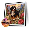 Diamond Painting -5D Full Round Drill Bernese Mountain Dog Puppy(40x40cm)