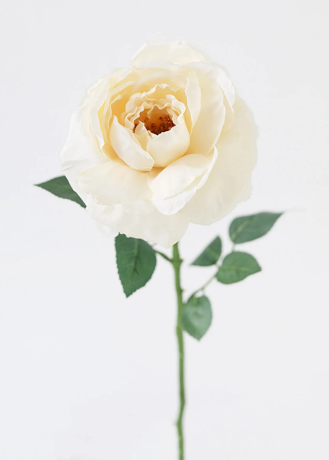 Silk Garden Cabbage Rose in Buttercream - 23"