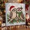 (20x20cm)Owl Xmas Pearl Painting Art Kits With Inner Frame Pearl Gem Paintings Picture Arts Craft for Adults Beginners Home Wall Decor