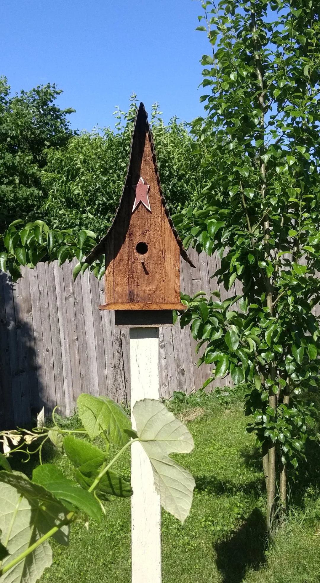 🔥Hot Sale🐦Large Rustic Bird House🏠