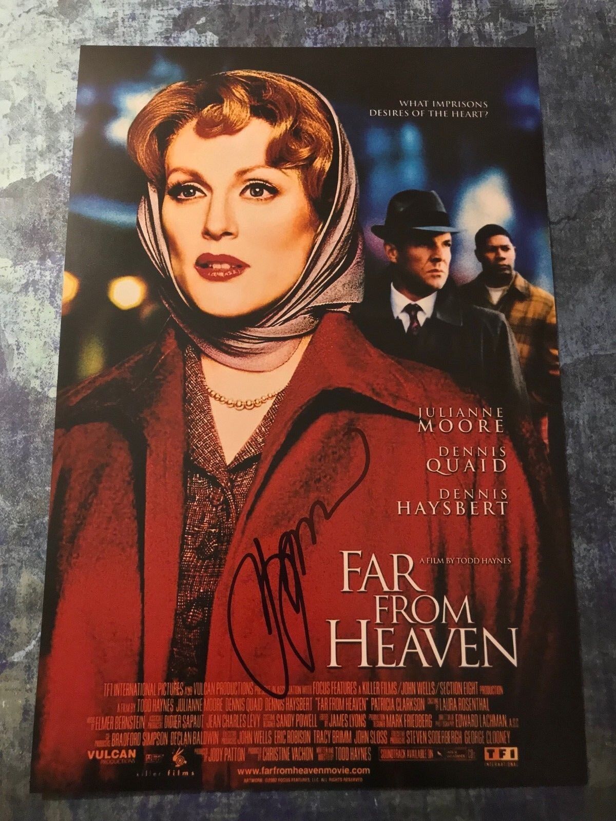 GFA Far From Heaven Director * TODD HAYNES * Signed 12x18 Photo Poster painting PROOF COA