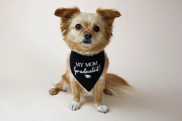 My Mom Graduated Embroidered Dog Bandana, Graduation Bandana for Dog