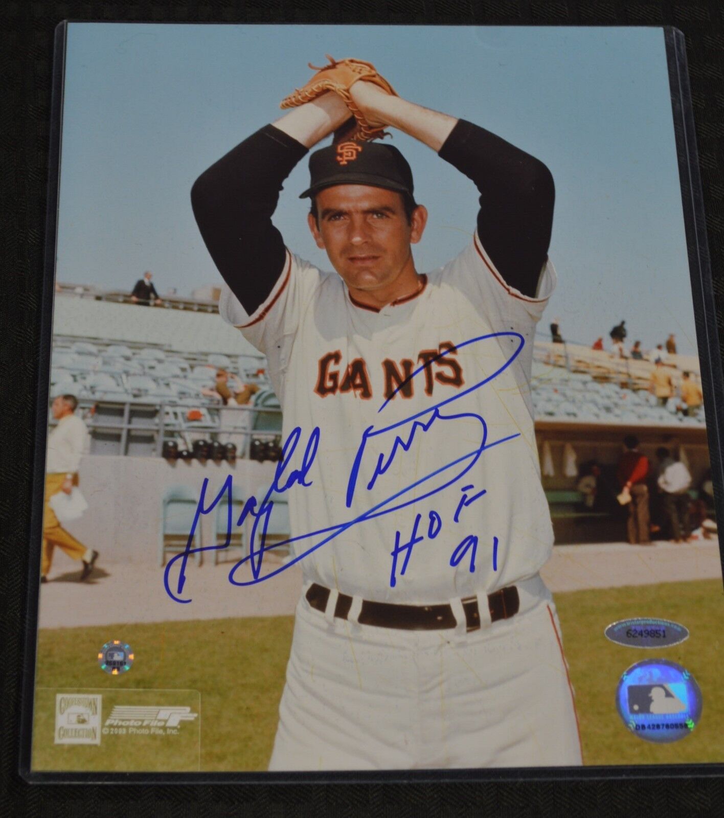 MLB & Tristar Gaylord Perry 8x10 Photo Poster painting Autographed Signed AUTO INSCR Giants