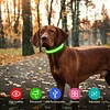 Pet LED Luminous Collar-Cattlan-Adracos