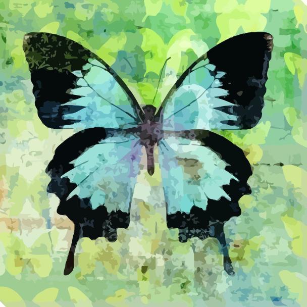

Imperial Blue Butterfly – Paint By Numbers - 40*50CM, 501 Original