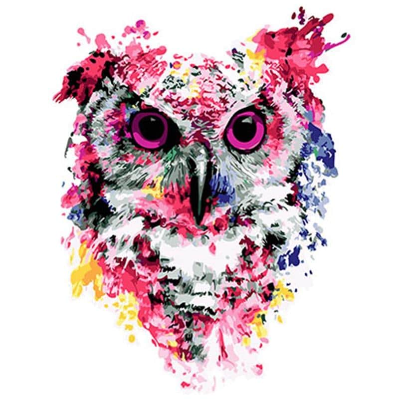 

Colorful Owl – Paint By Numbers - 40*50CM, 501 Original