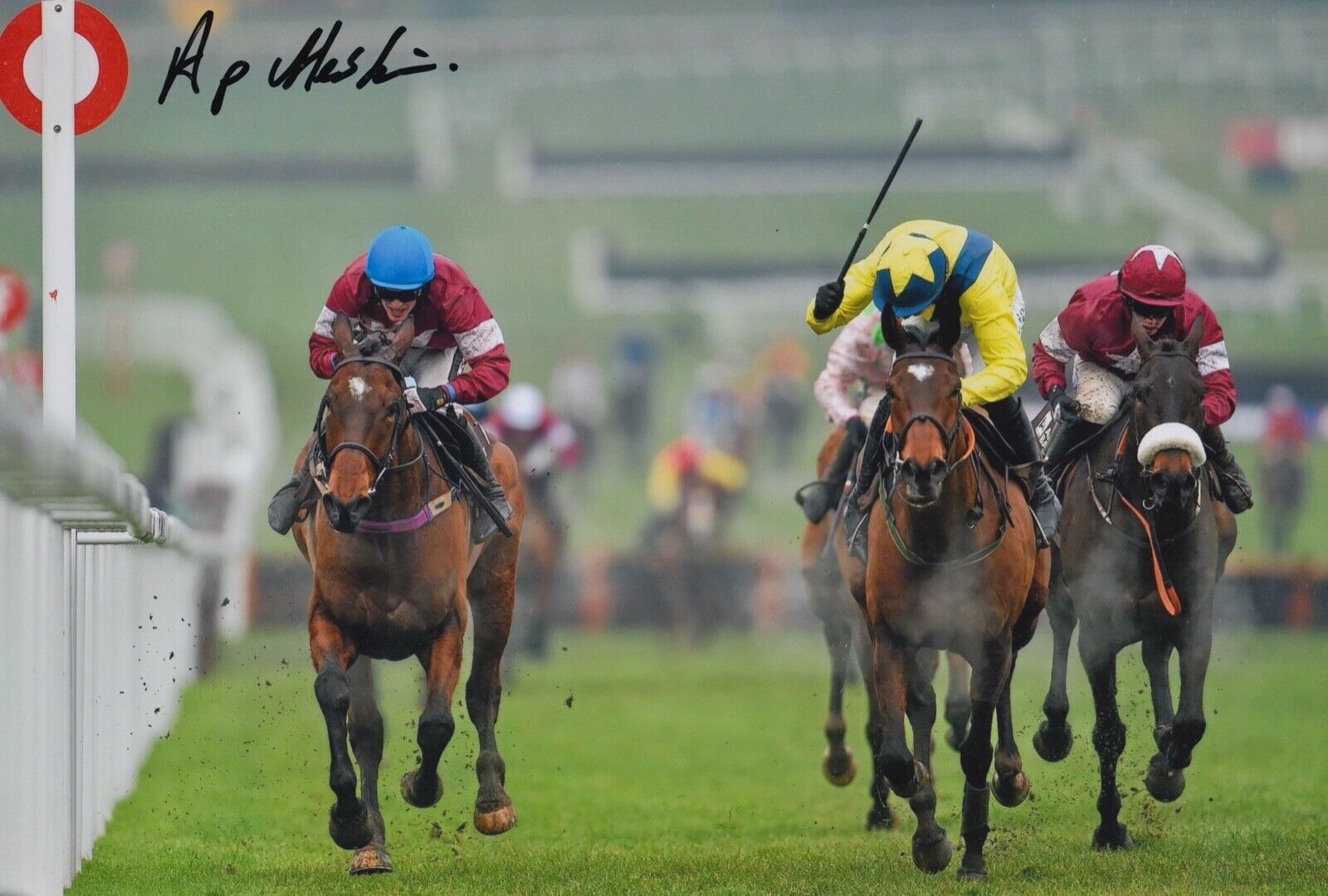 ADRIAN HESKIN HAND SIGNED 12X8 Photo Poster painting MARTELLO TOWER HORSE RACING AUTOGRAPH 4