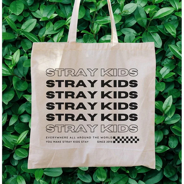 Tote Bag Maxident Stray Kids