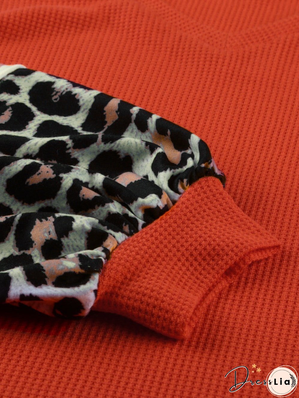 Leopard Stripe V Neck Lantern Sleeve Top with Colorblock Detail