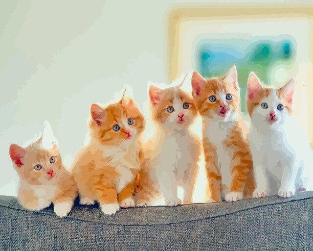 

Cute Ginger And White Kittens – Paint By Numbers - 40*50CM, 501 Original