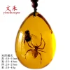 Insect Amber Pendant Natural Butterfly Specimen Insect Amber Necklace Children's Hanging Accessories
