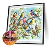 Vogel - runder Bohrer Diamant Malerei - 40 * 40cm