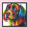 Colorful Dog-14CT Stamped Cross Stitch Kit(34x34cm)
