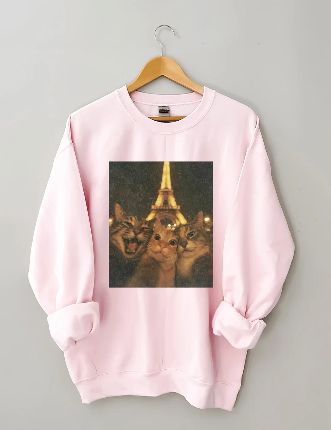 Cat Taking Selfie With Eiffel Tower Funny Sweatshirt