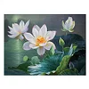 Lotus-11CT Stamped Cross Stitch Kit(40x50cm)