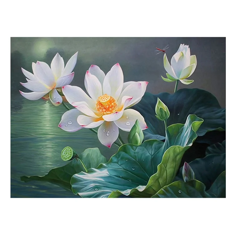 Lotus 11CT Stamped Cross Stitch 50*40CM